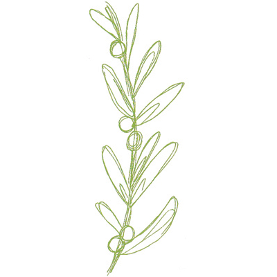 OLIO DI OLIVA